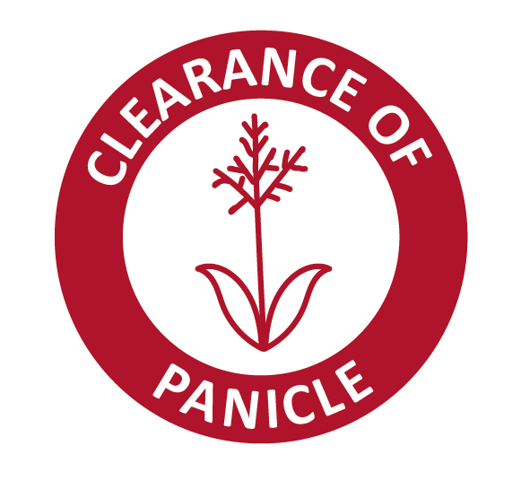 clearance_of_panicle
